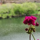 청솔가든 이미지