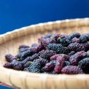 성도건강원 이미지