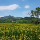 플로라 거창 이미지