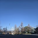 (주)케미노바에이지 | 《도쿄 여행》 우에노 공원, 아메요코 시장, 시노바즈노이케 연못 방문기: 볼거리, 주말 혼잡도, 분위기...