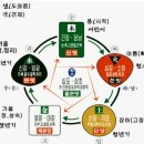 음식 맛으로 오장육부 건강관리하는 방법 이미지