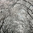 왕산경로당 이미지