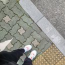 김도하내과의원 네이버블로그