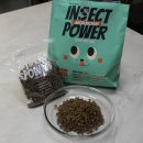 펫스미스 이미지