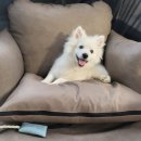 보보캠핑 이미지