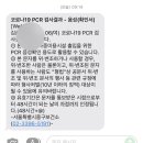 율칼 네이버블로그