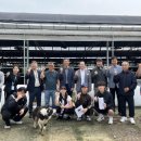 송영신목장 이미지