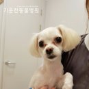 영대동물병원 이미지