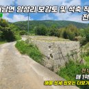 망성1리 티스토리