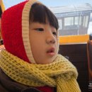 황소목장 | [대관령 여행] 대관령 하늘목장 | 트랙터마차 | 대관령 설경 | 먹이주기