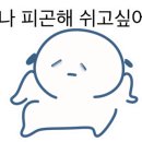 모토스파 - 달서구 와룡로 274 | 모토스파