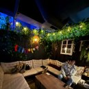 대정동물병원 | 일상 브이로그#2 [#티에이지실내캠핑장#데이트]