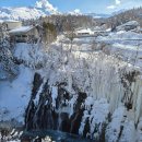 오도리 | 삿포로 비에이 버스 투어 잇쇼니투어 내돈내산 후기 오도리역 집합