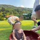 뜨레비앙 | 마지막 여름휴가, 시골에 할머니집 놀러간것 같은 뜨레비앙 펜션 (용인펜션,안성펜션)