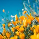 브람스 센텀점 이미지