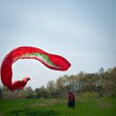 버드스쿨 이미지