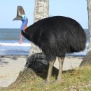 플로리다 농장 이미지