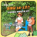 선두농장 | 제주올레 14-1코스 역방향 후기｜오설록 출발 2시간 50분, 난이도와 신발 팁