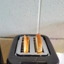 딸기미용실 이미지