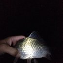 여주-0911 이미지