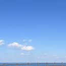 (주)엔젤렌트카 이미지