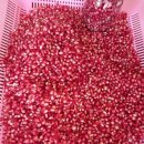 갈뫼농장 이미지