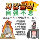 장갈애드