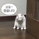 네일&왁싱 이미지