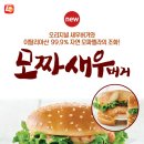 더새우 스포츠경향