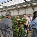 농가의 겨울 이미지