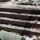 강아지 마법사 골드맘 이미지