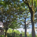 사라봉공원 이미지