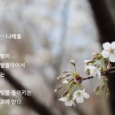 연산동고분군 이미지