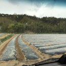 강수농장 이미지