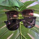 세인트옵티컬 이미지