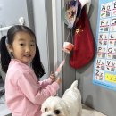 슬기반 문수아 꼬마산타🎄 이미지