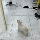 까까주까 이미지