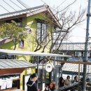 입고놀자