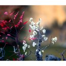 산넘어남촌엔 이미지