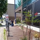 탑 피시 이미지