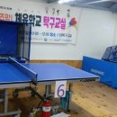 신비탁구클럽