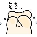 H0037 이미지