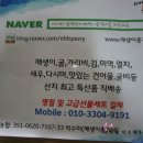 총각네건어물