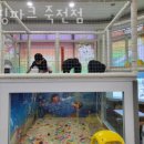 GS25수지죽전점 이미지