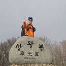 진봉