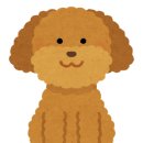 펫플래닛 이미지