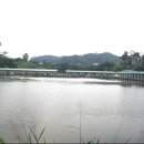 신정로 301번길 이미지