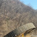 두바퀴쉼터옆 | [일상] 유기견 봉사 후기 : 용인 레인보우쉼터 (코리안 독스)