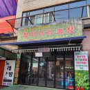 삼용농장 | 강남역 근처 냉삼 맛집 청미나리 농장