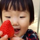 땡큐베리팜 이미지